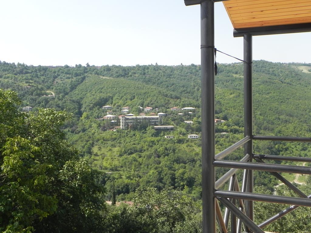 Galavnis Kari Hotel Siğnaği Oda fotoğraf