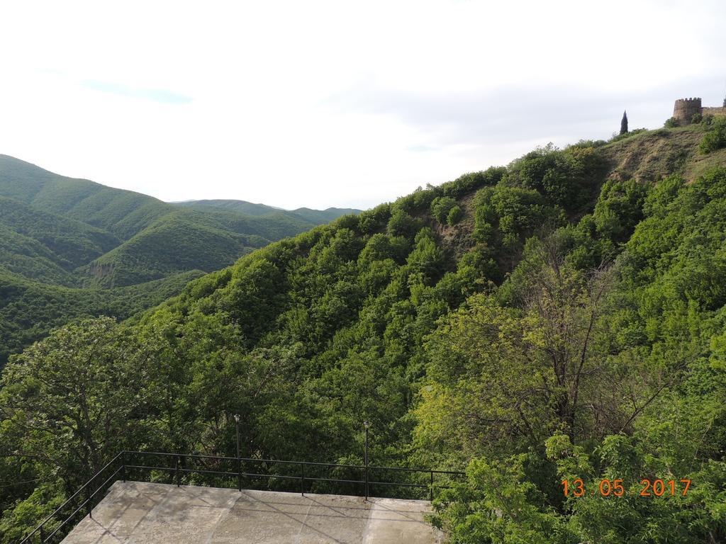 Galavnis Kari Hotel Siğnaği Dış mekan fotoğraf